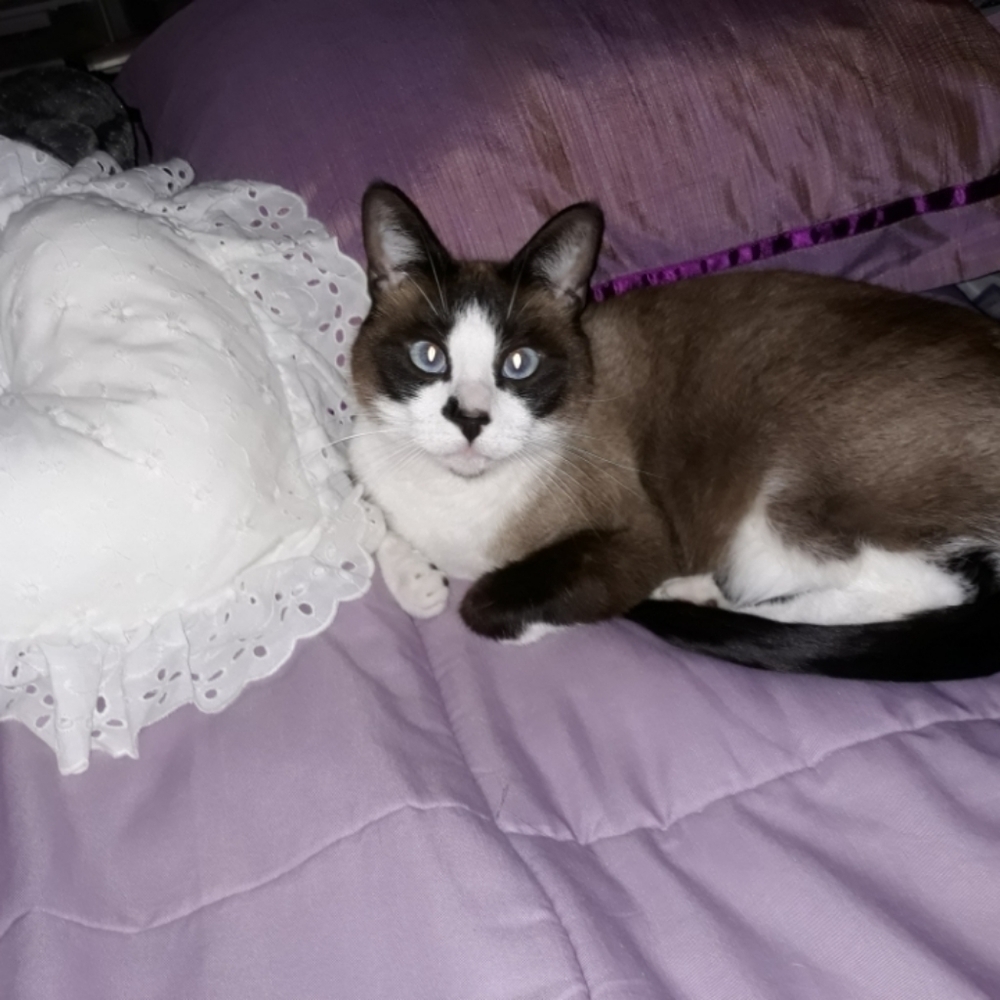 Take A Look @ My New & Gently Loved Items; Read About LITO & PRECIOUS!